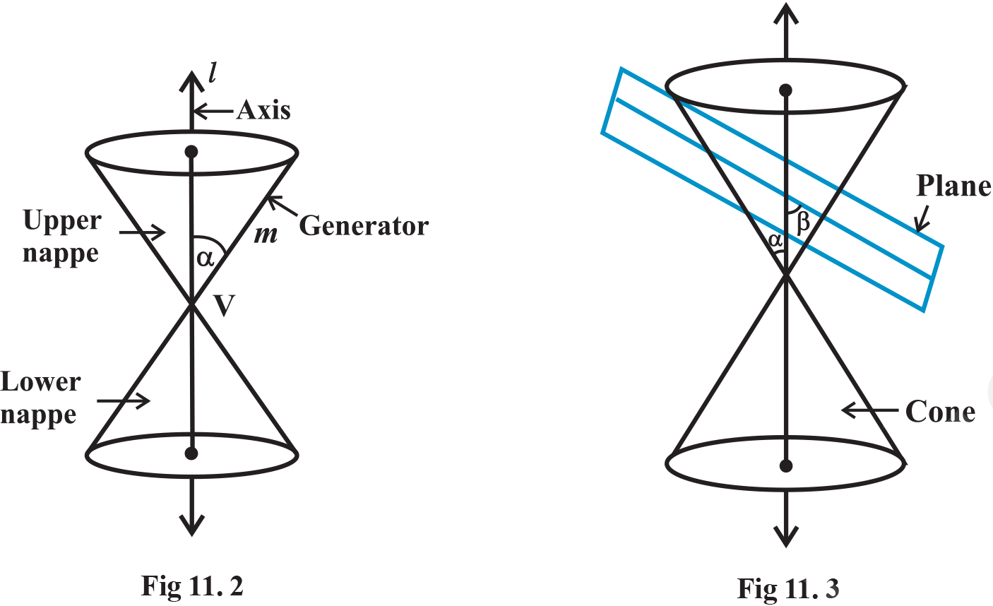 Sections of a circle