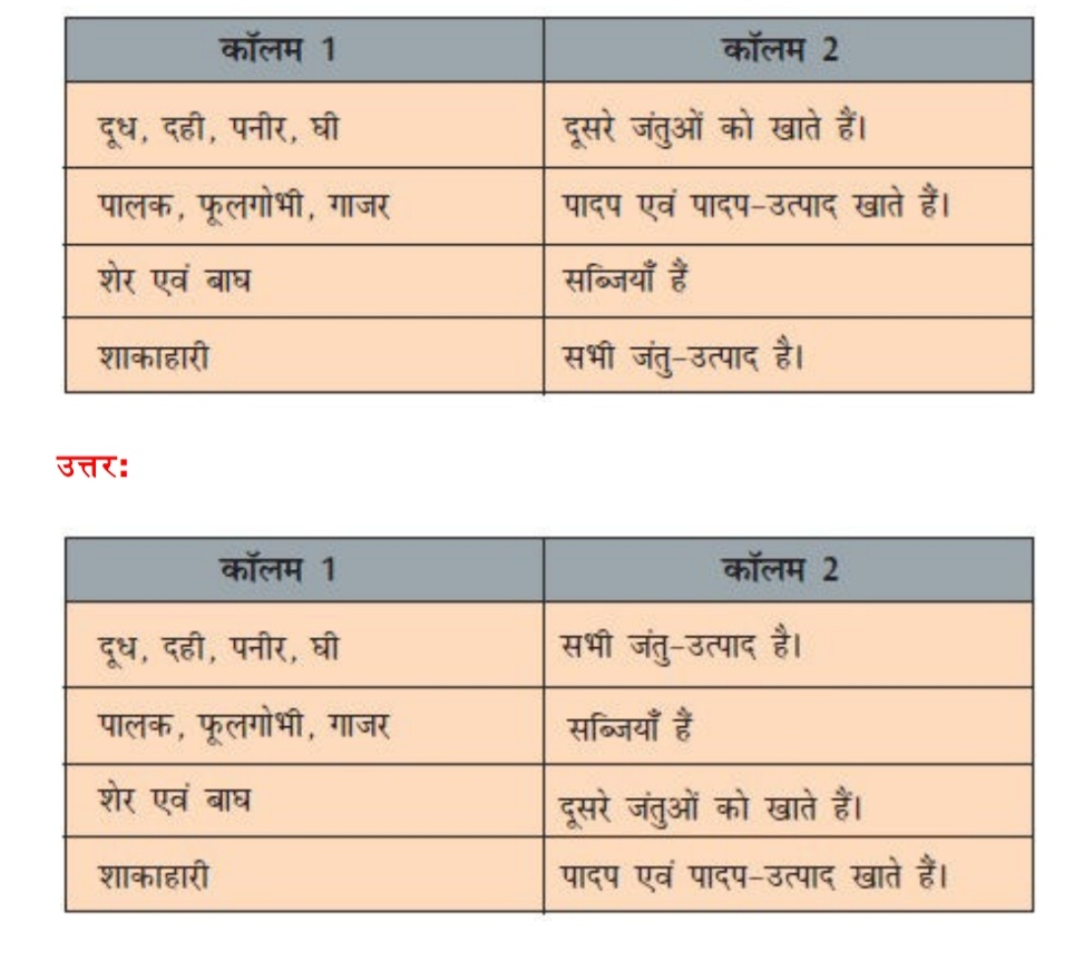भोजन : यह कहाँ से आता है ? Class 6th NCERT Science Chapter 1 Summary, Notes And Question Answer भोजन : यह कहाँ से आता है ? Class 6th NCERT Science Chapter 1 Summary, Notes And Question Answer