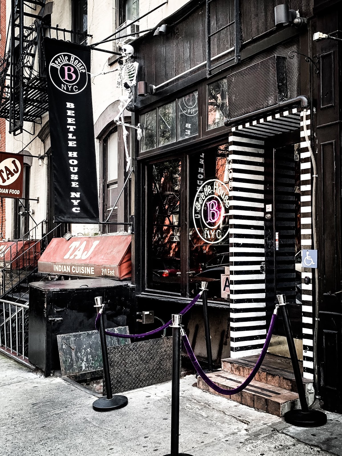 Theresa's Mixed Nuts: Beetle House NYC