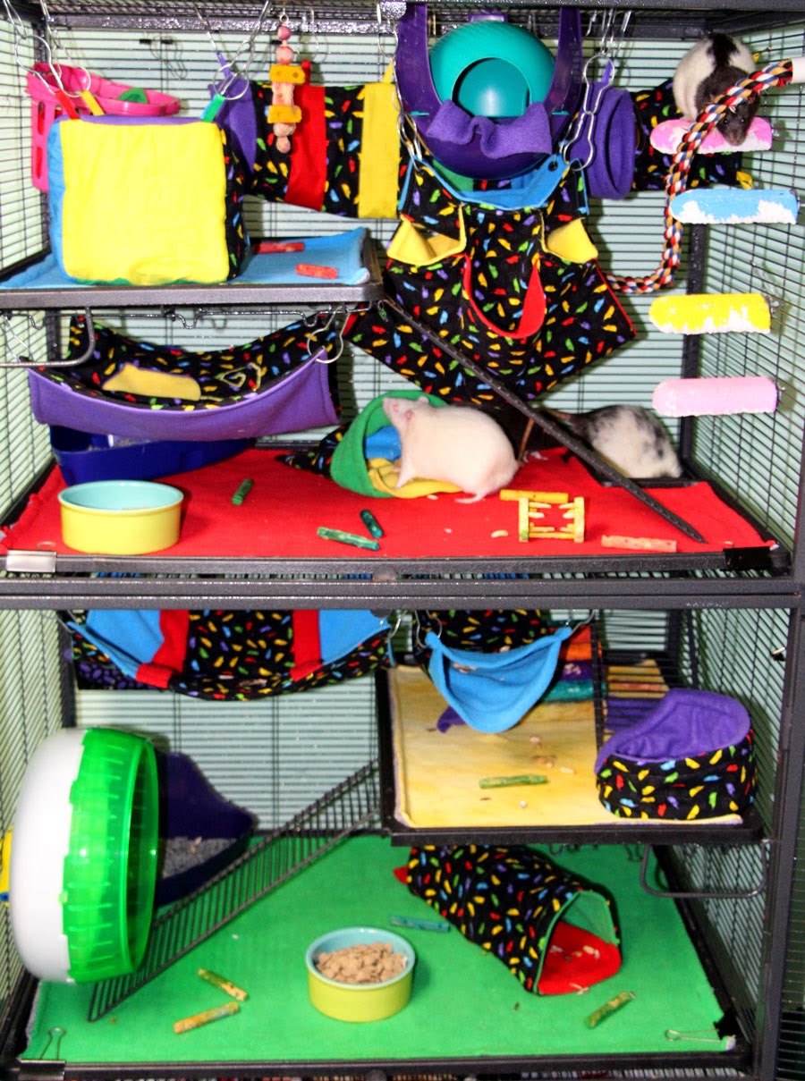 how to make a rat hammock how to make a rat hammock