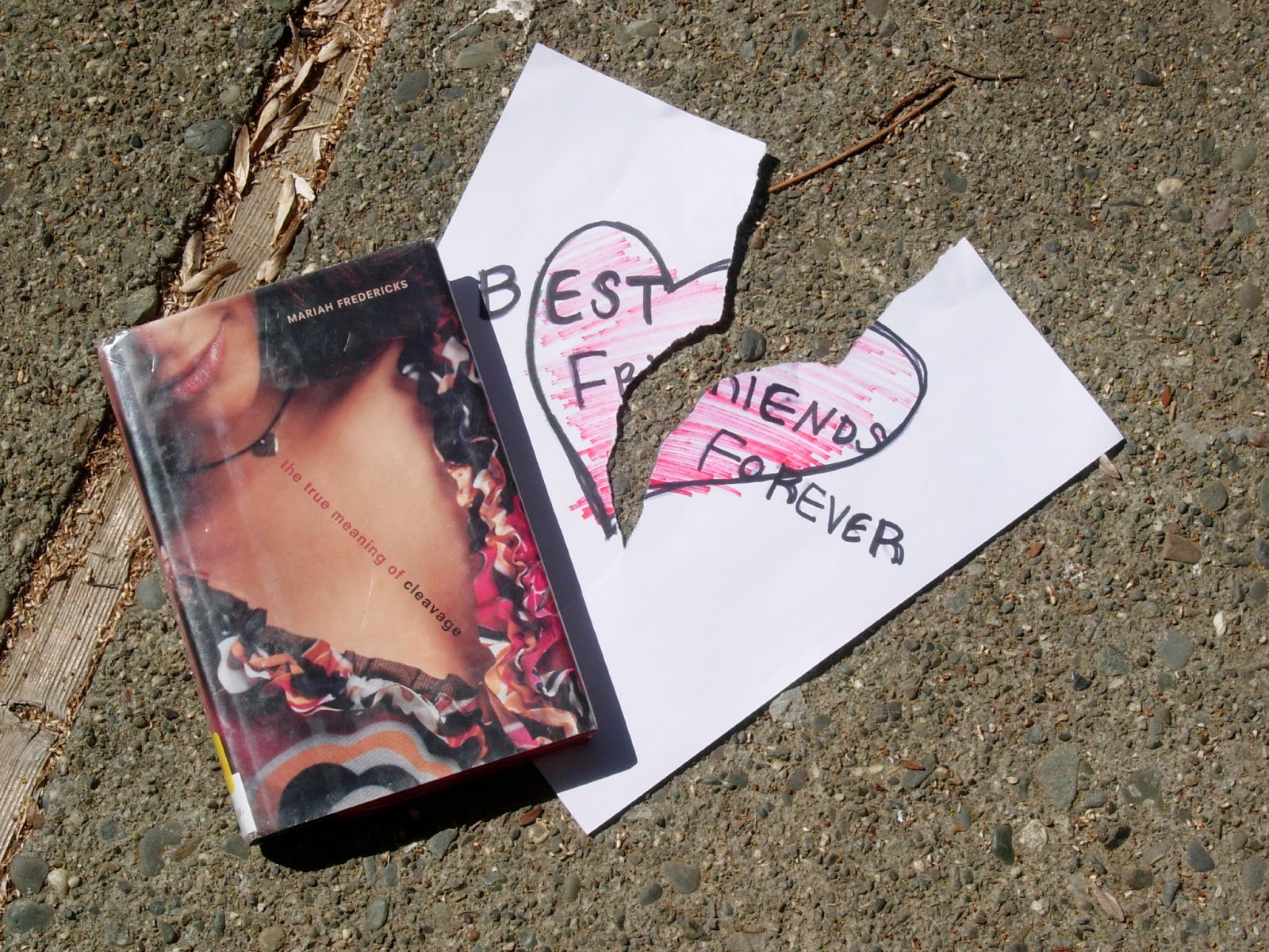 what if dictionaries were my summer vacation The True Meaning of Cleavage