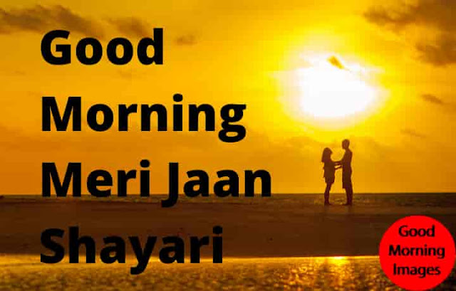 Good Morning Meri Jaan Shayari Good Morning Meri Jaan Shayari