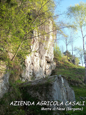 azienda agricola casali gianluca monte di nese alzano lombardo