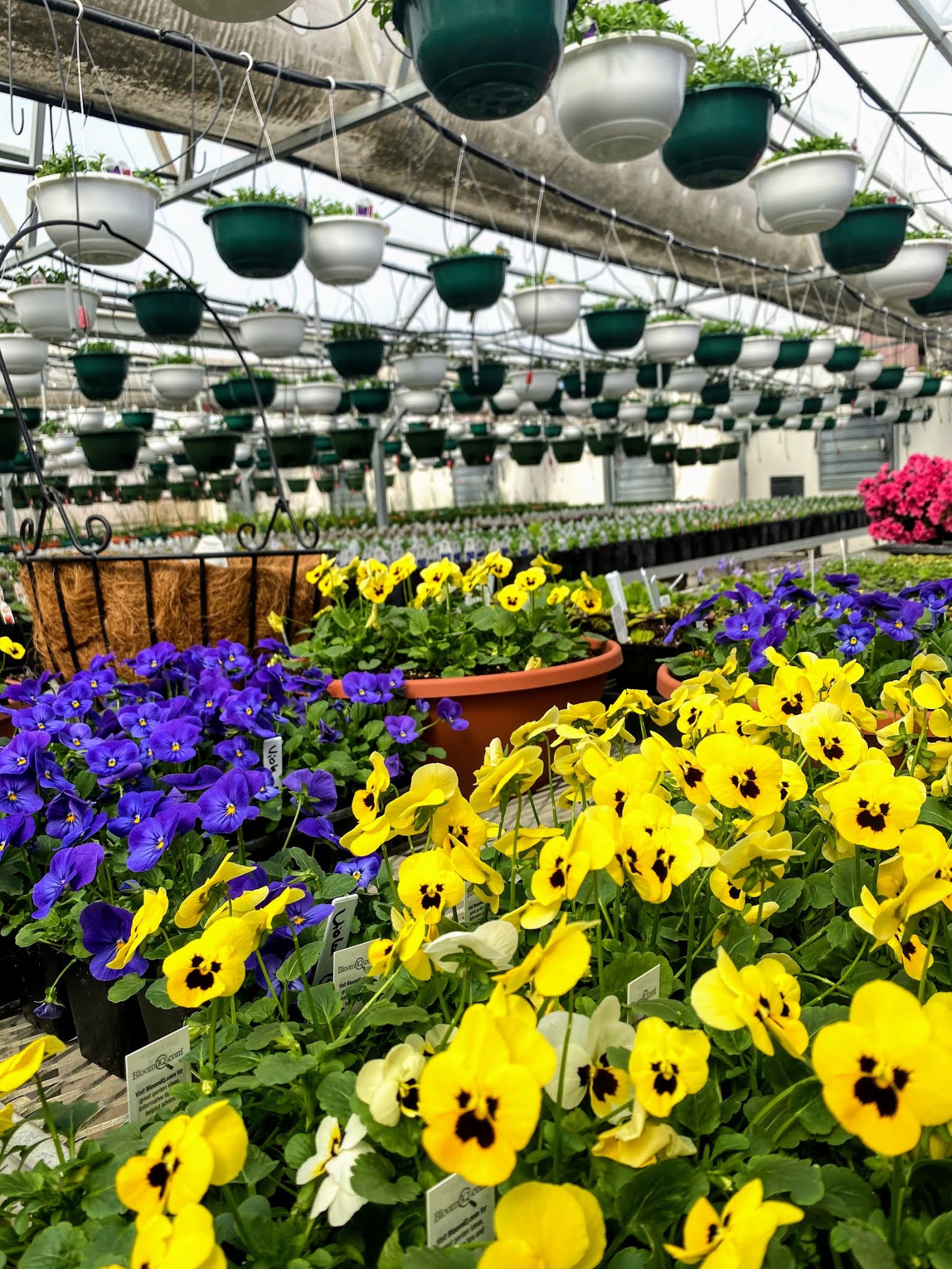 Garden on the Rough Experience the Northeast Iowa Greenhouse Tour, May