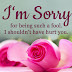 Best Sorry Messages for Friends with Image