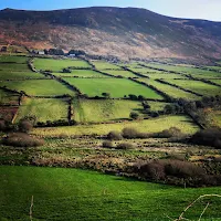 Ireland Images: Green fields in Dingle
