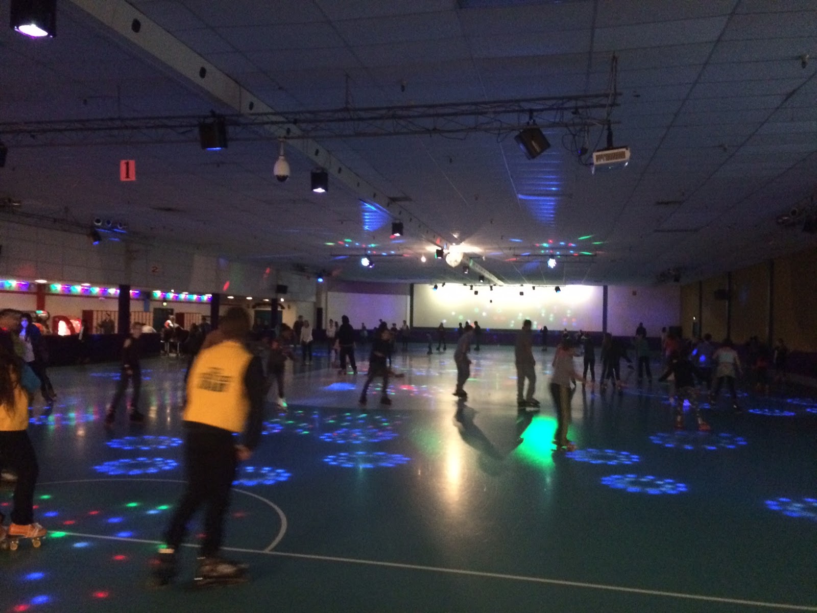 The Larson Lingo: Kate's Roller Skating Party!