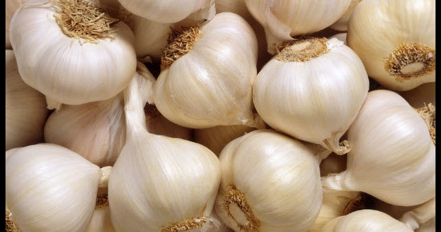 Index Of Wp Content Uploads 2016 02