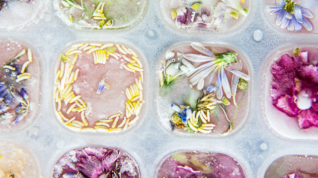 Flower Ice Cube Reciepe 