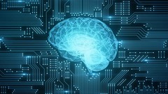 The Complete Supervised Machine Learning Models in Python The Complete Supervised Machine Learning Models in Python