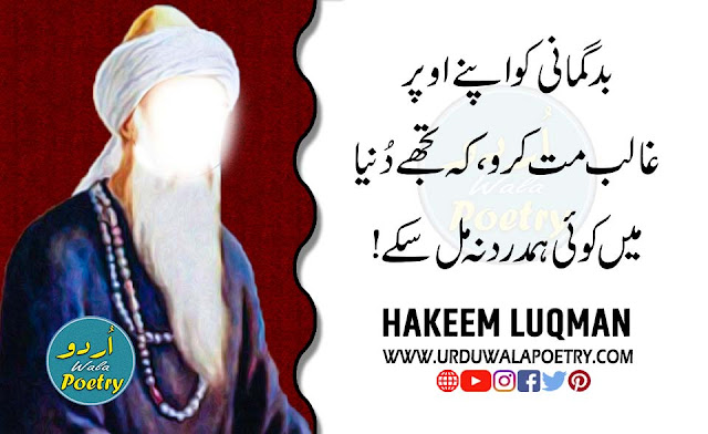 Hakim-Luqman-Tips-in-Urdu