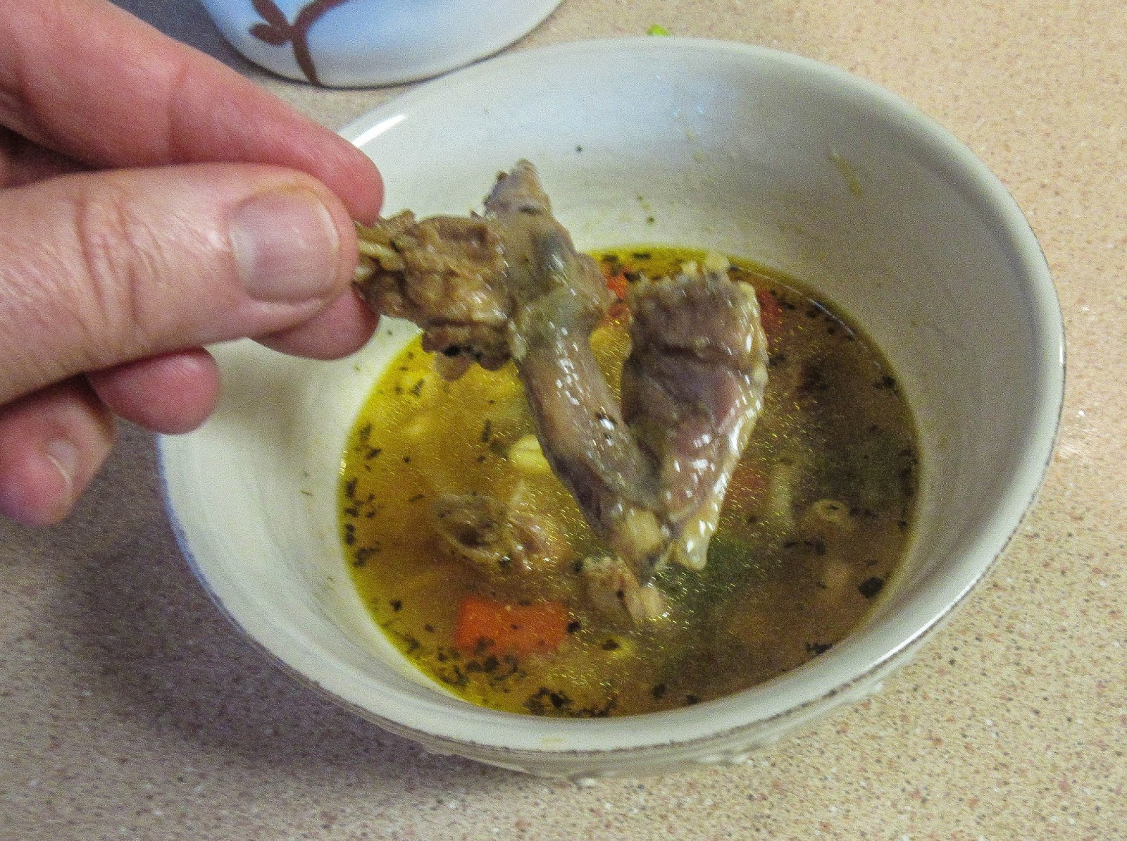 Cannundrums Turtle (RedEared Slider) Soup