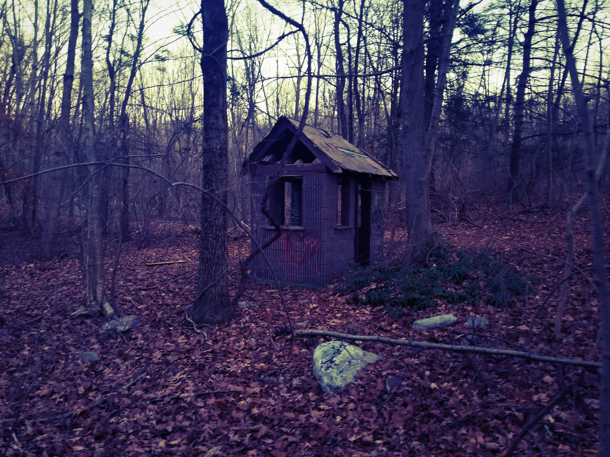 Abandoned, Roadside and Historic Jungle Habitat (Abandoned) West Milford, NJ