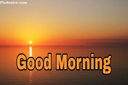 Cute Good Morning Images for Whatsapp | Best 21 Cute Good morning Photo Cute Good Morning Images for Whatsapp | Best 21 Cute Good morning Photo