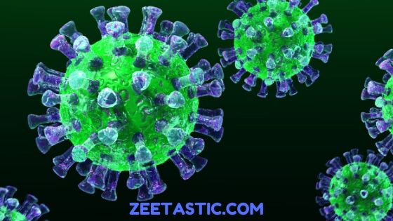 What is the CoronaVirus? Answers to 10 basic questions