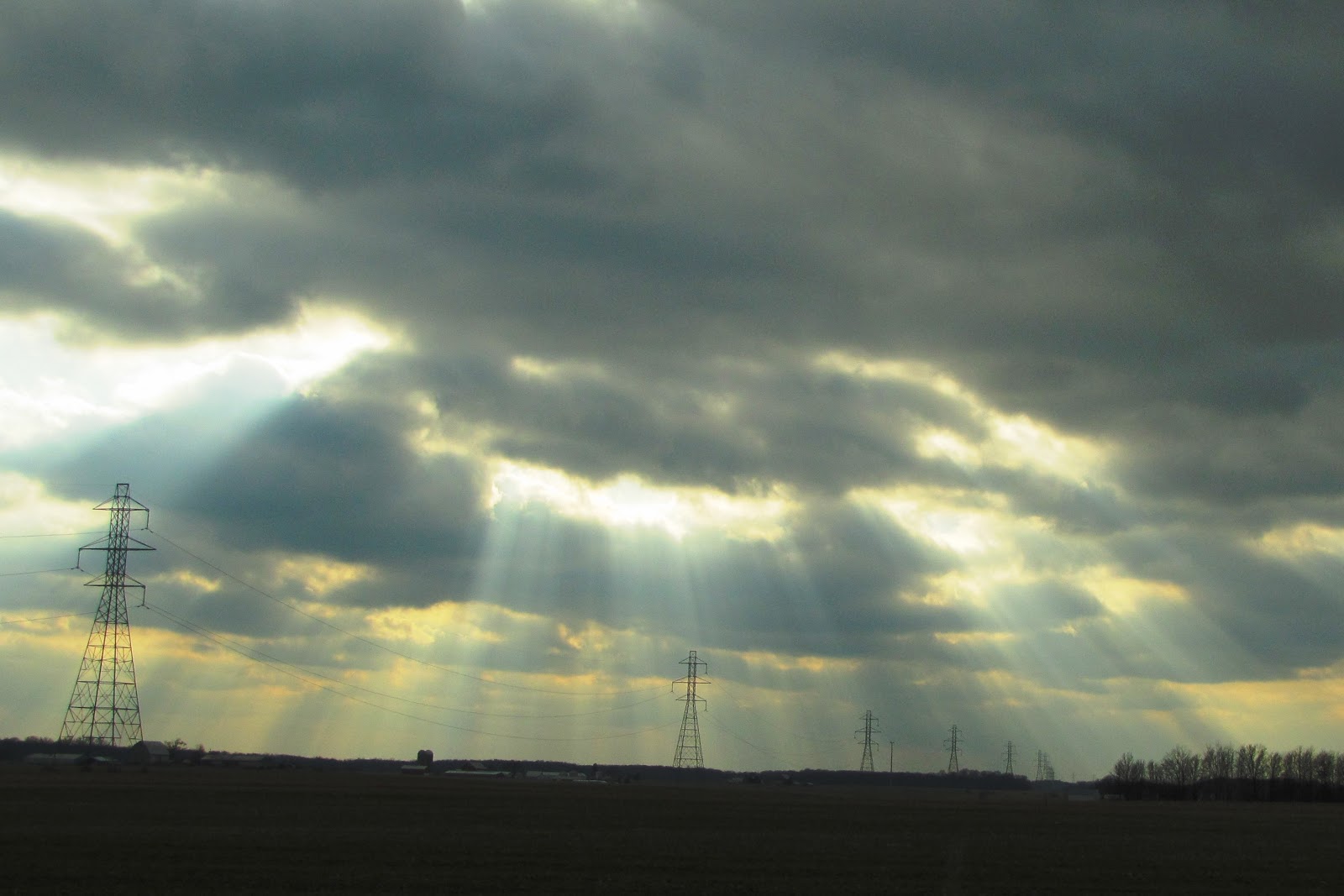 To Behold the Beauty Sunbeams, Peanuts, and Critters