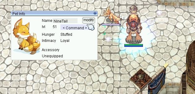 Ragnarok Online (iRo) Guias en Español: Ragnarok Online Sistema de Pet 2020