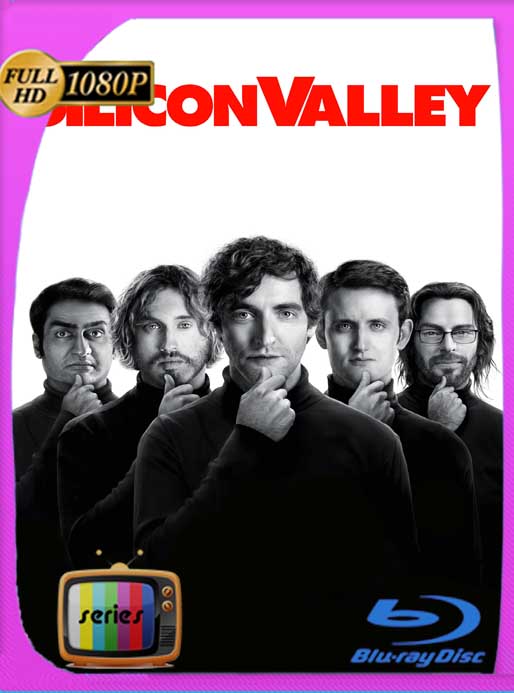Silicon Valley Temporada 1-2-3-4-5-6 HD [1080p] Latino [GoogleDrive] SXGO