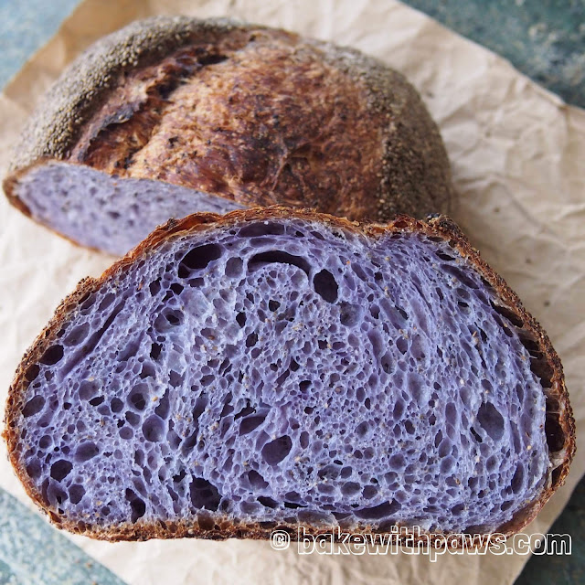 Butterfly Pea Flower Open Crumb Sourdough Bread BAKE WITH PAWS