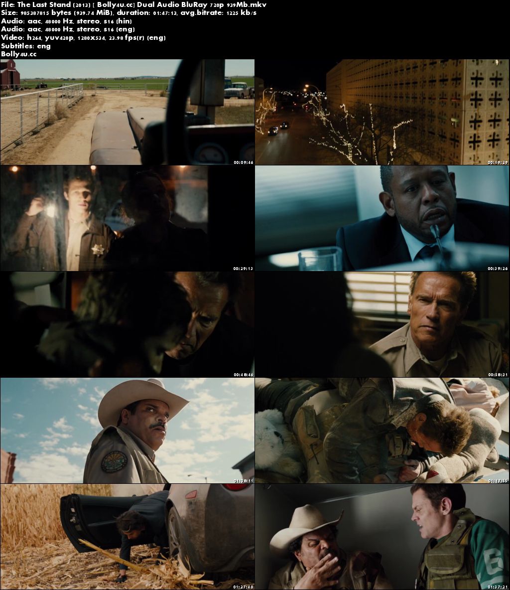 The Last Stand 2013 BluRay 900MB Hindi Dual Audio 720p Download