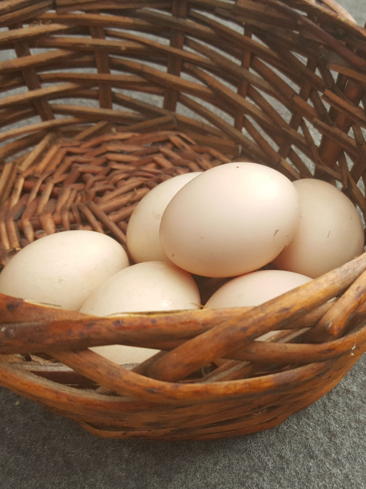 Why are Eggs Sold by the Dozen? Fresh Eggs Daily® with Lisa Steele