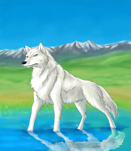 Wolf pics cause im bored :D: Anime Wolf