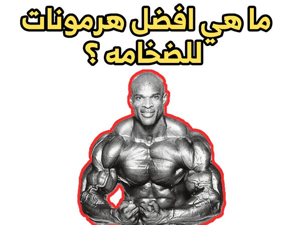 افضل هرمونات للضخامه 