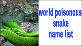 world's snake scientific name list