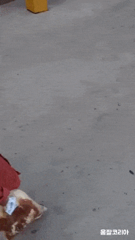 umjjal_kr_198.gif