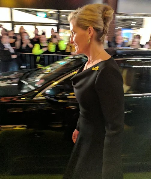 Countess Sophie wore Valentino Draped Cowl-neck Wool and Silk Blend Dress, Pomegranate Sofia pear drops in amethyst earrings