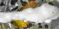 Applied egg emulsion over chicken reshmi kabab