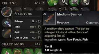 salmon turns to fish oil