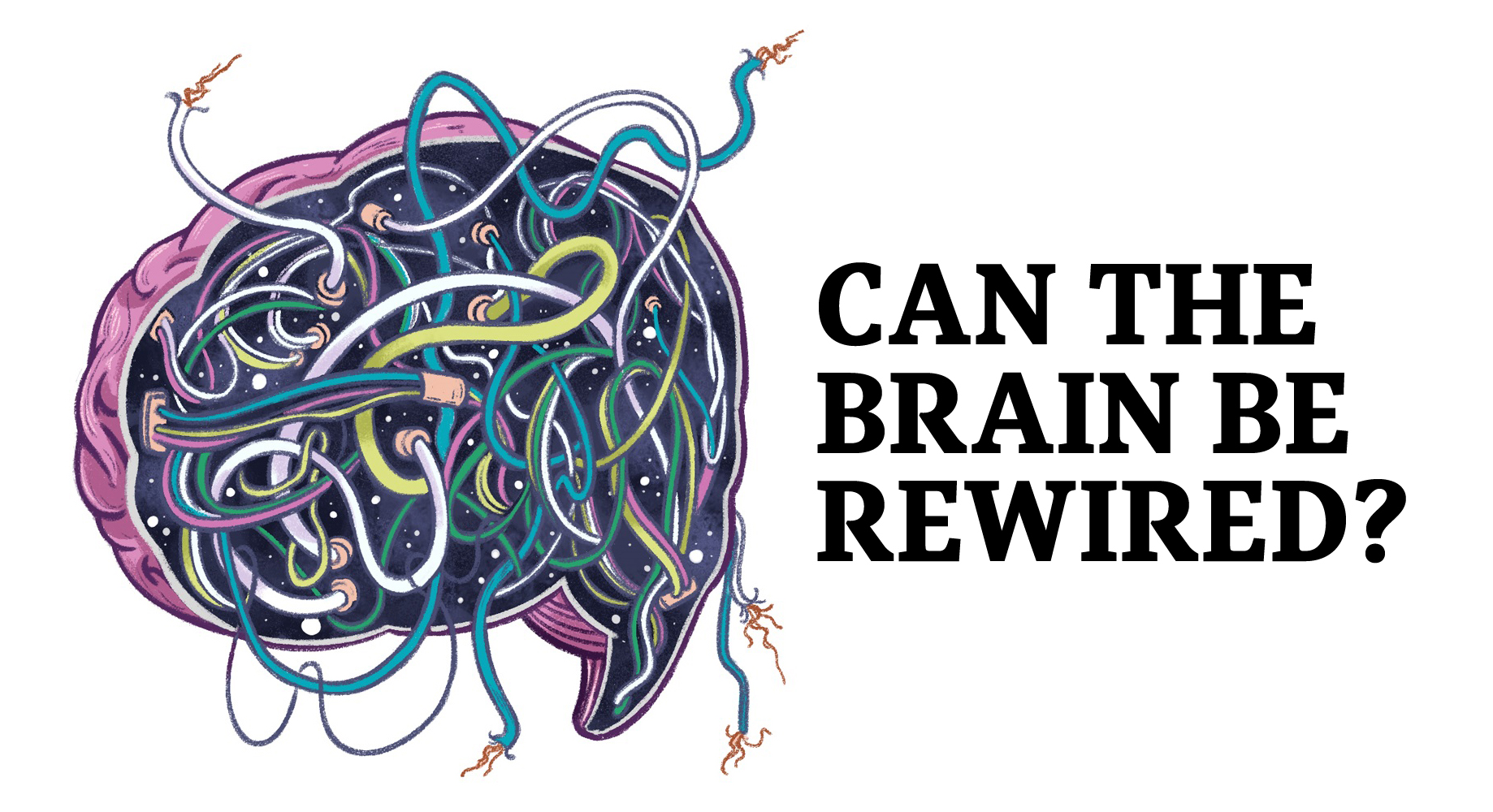 Plantando Ciência Plasticidade neural o que é?