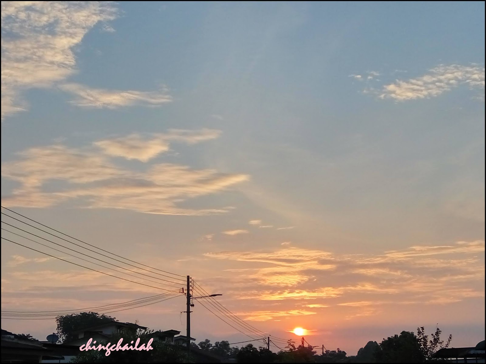 Simple Living In Nancy Homemade Herbal Jelly & Red Yeast Rice Wine