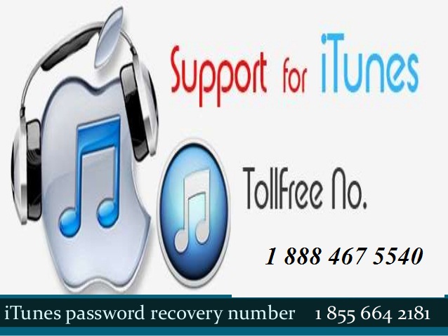 apple itunes customer service number 24 hours apple itunes customer service number 24 hours