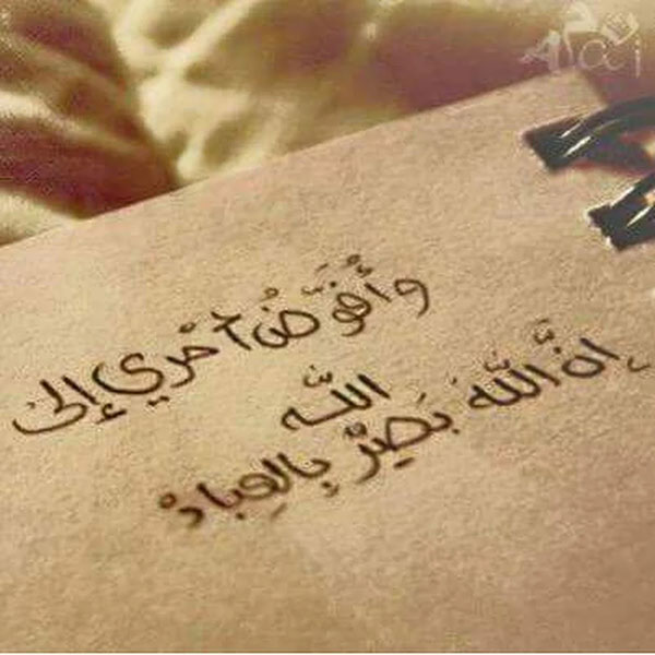 صور اسلاميه روعه