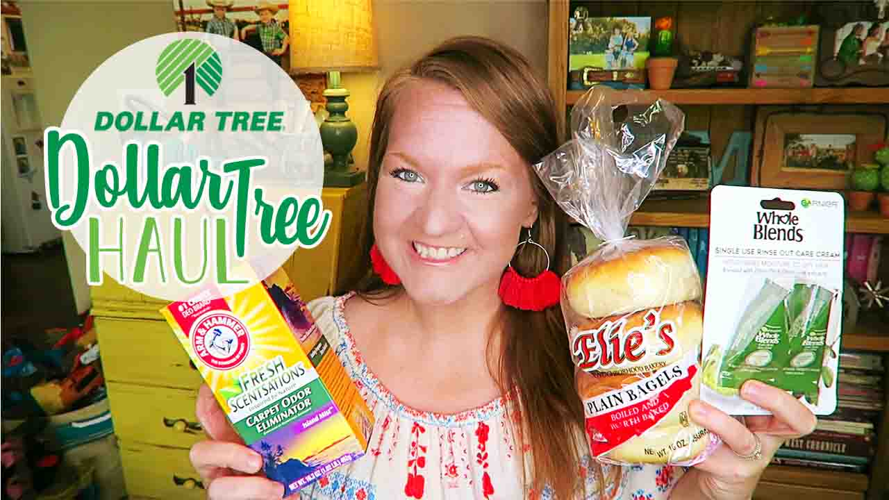 Dollar Tree Haul! the farmer and the southern belle