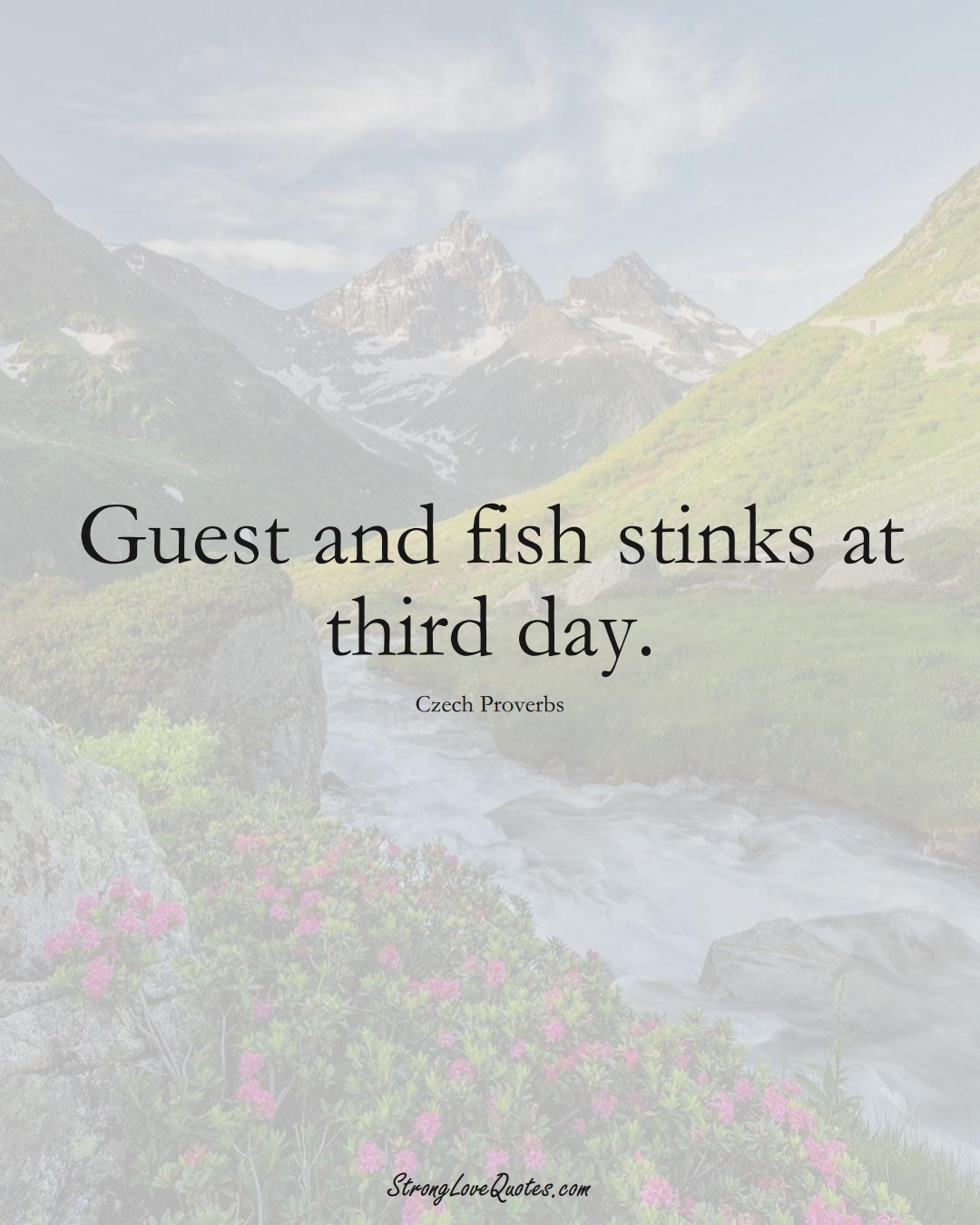 Guest and fish stinks at third day. (Czech Sayings);  #EuropeanSayings