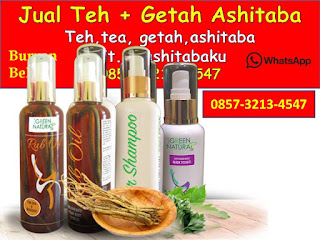 0857-3213-4547 Cara Mengkonsumsi Daun Ashitaba dan Getah Ashitaba 0857-3213-4547 Cara Mengkonsumsi Daun Ashitaba dan Getah Ashitaba