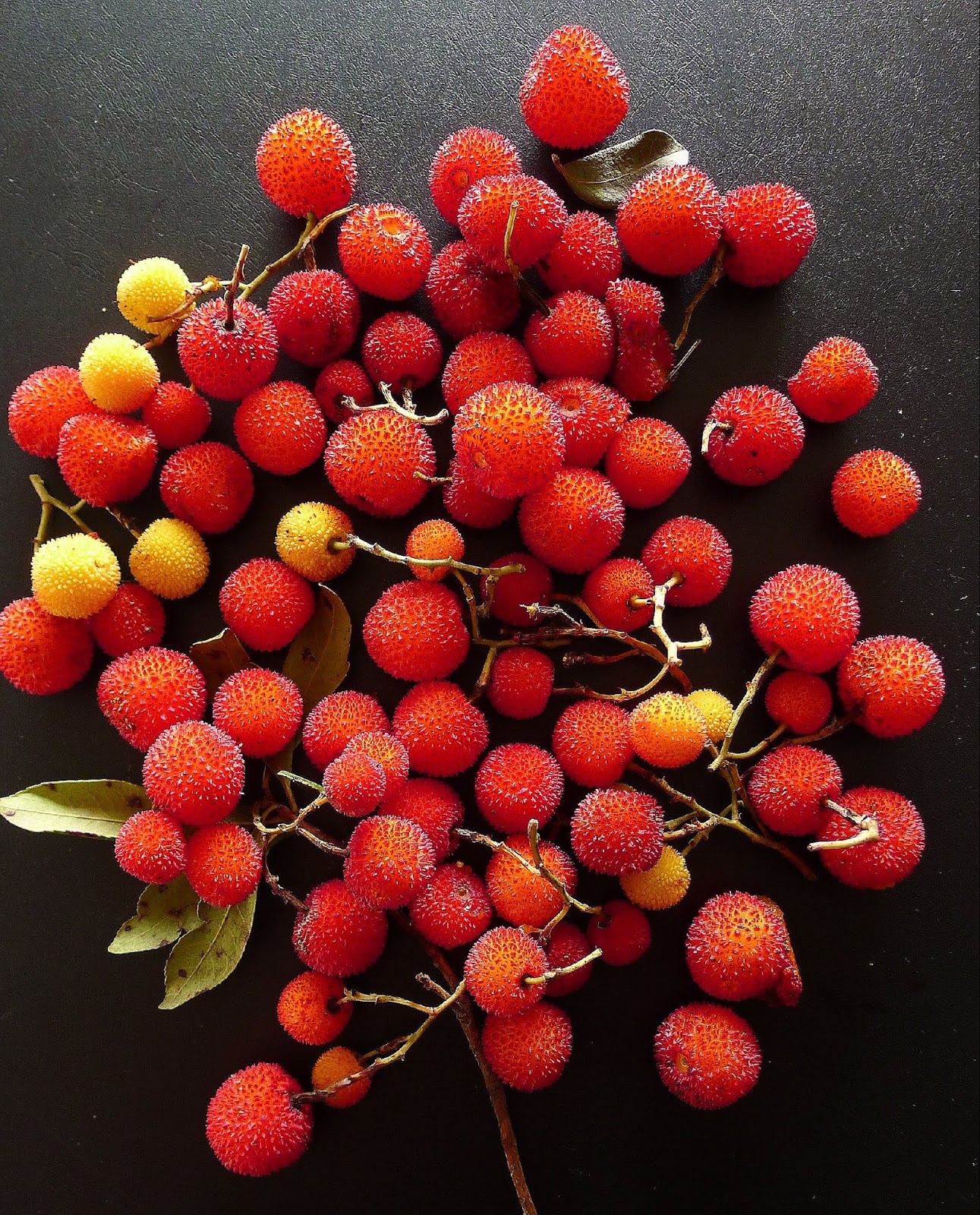 MY KITCHEN IN SPAIN MADROÑO BERRIESA FORAGER'S FIND