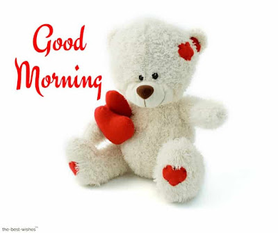 teddy bear teddy bear