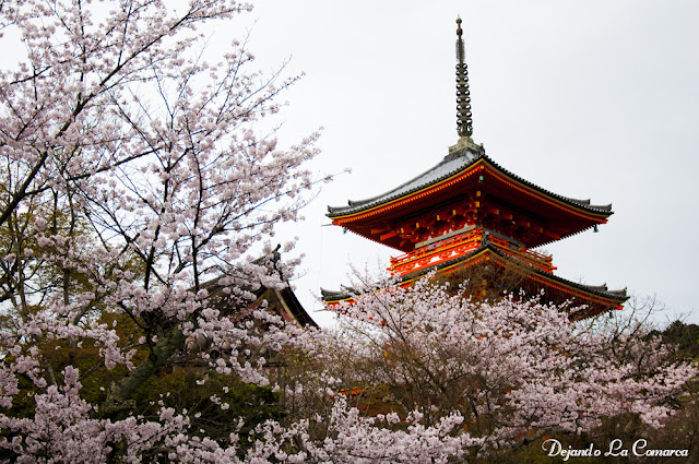 Día 12 - Kyoto (Ginkakuji - Palacio Imperial - Kiyomizu - Gion) - Japón primavera 2016 - 18 días (con bajo presupuesto) (34)