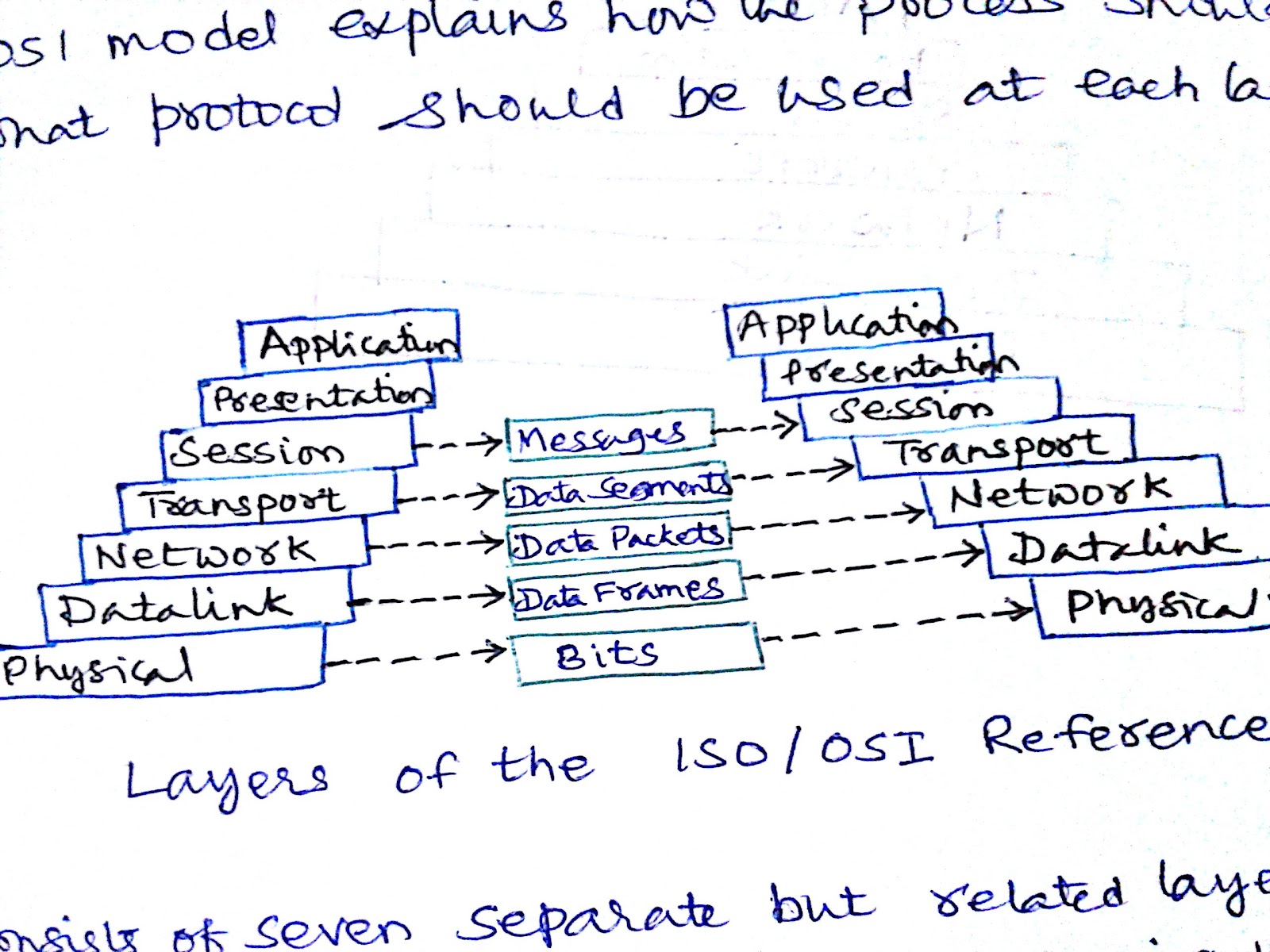 Networking(DCCN): OSI Reference Model