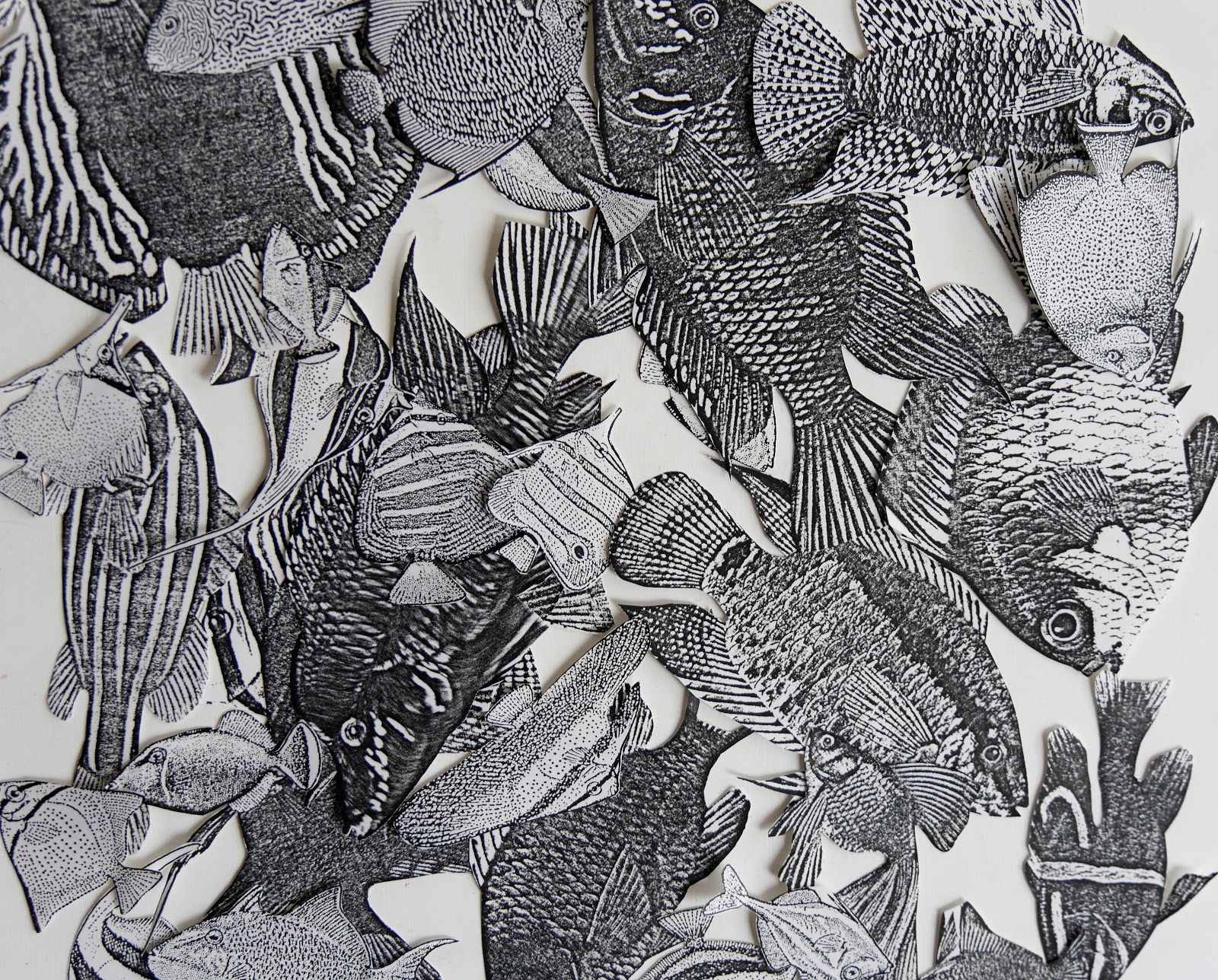 BUNTPAPIERFABRIK: Muster # 255 - Fische