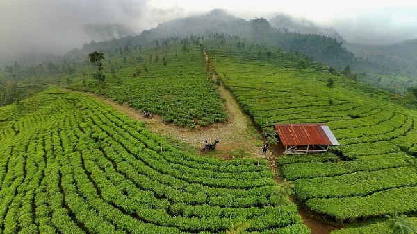 Wisata Kota Semarang