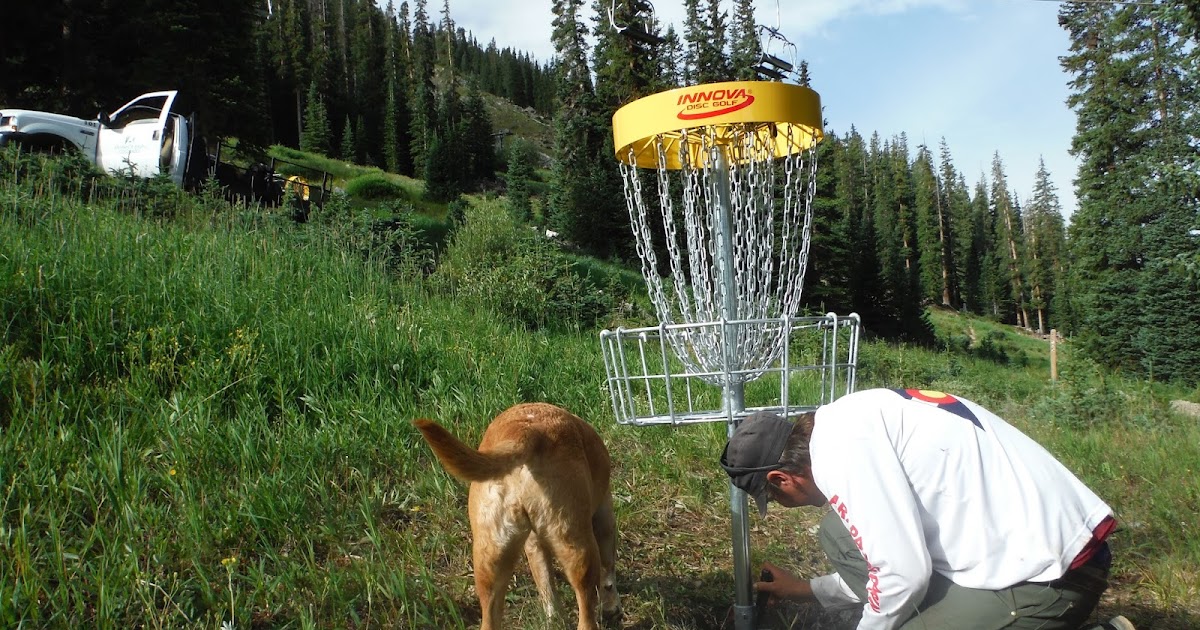 Al's Blog Disc Golf Update and Summary