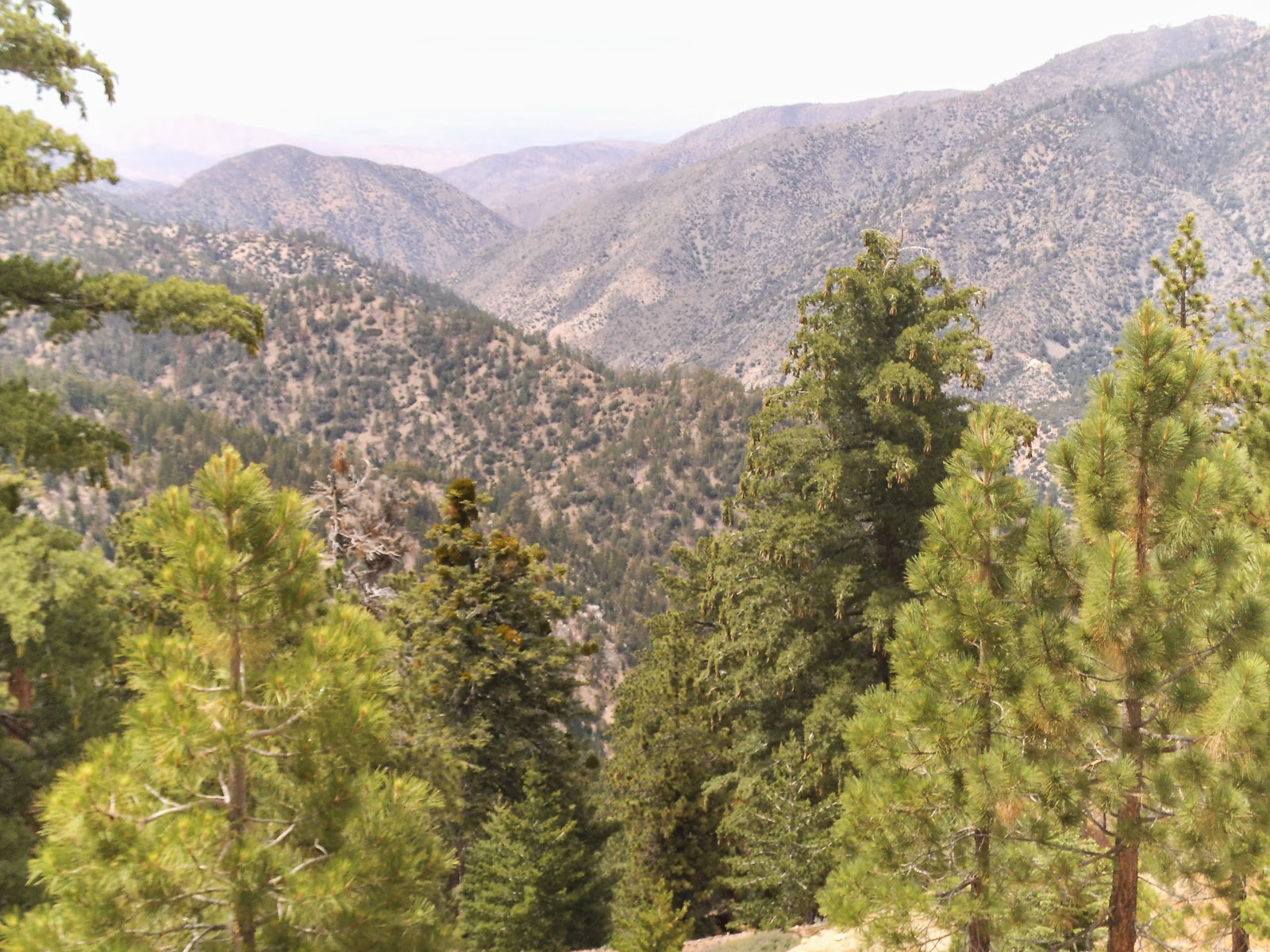 MIke's SOTA Adventures: Kratka Ridge W6/CT-014