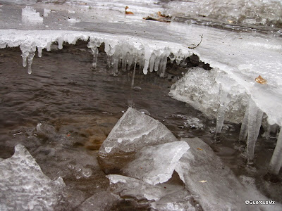 Water running under the ice - Turkey Run State park