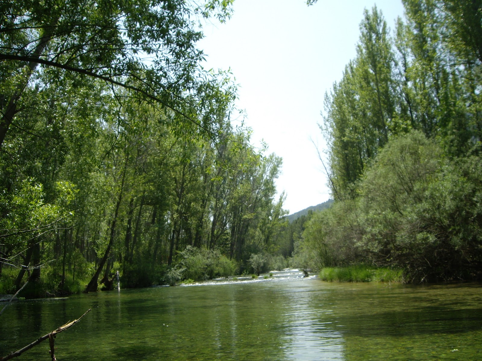 maneti-lugares-que-disfrutar-camping-la-serradora-y-su-entorno-alto