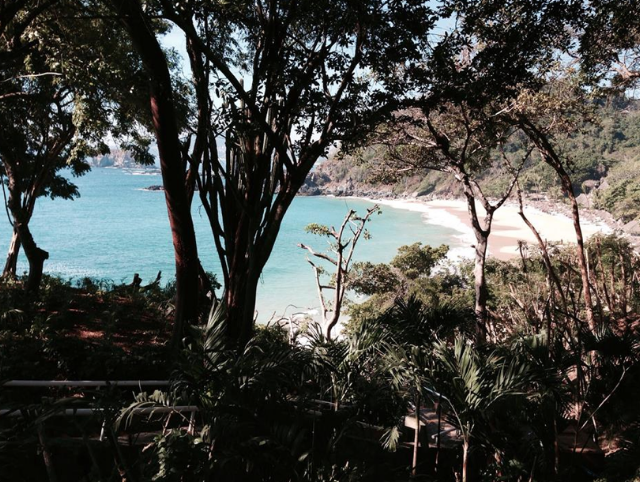 looking through the woods at the beach